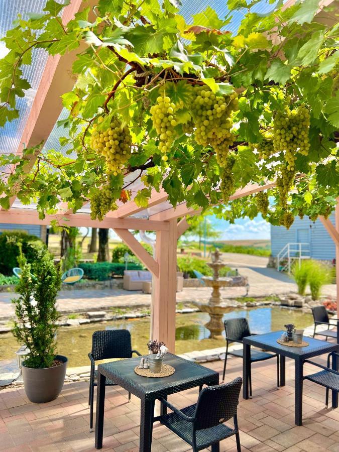 Hotel Hilltop Borbirtok & Etterem Neszmély Exteriér fotografie