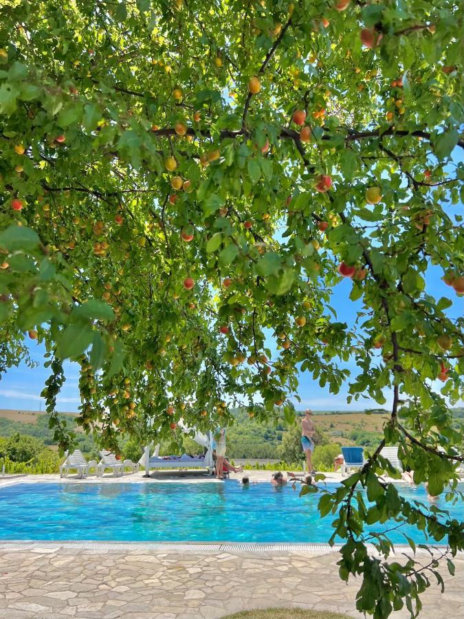 Hotel Hilltop Borbirtok & Etterem Neszmély Exteriér fotografie